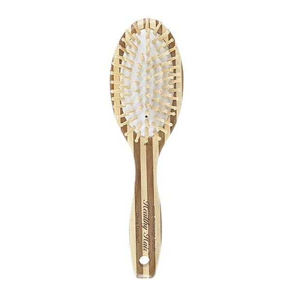 Olivia Garden Healthy Hair EcoFriendly Bamboo Brush Ionic Massage Ova