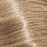 Schwarzkopf Igora Royal Permanent Colour Absolutes 8-140 Light Blonde Cendré Beige Natural 60ml