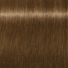 Schwarzkopf Igora Royal Permanent Colour Absolutes 9-140 Extra Light Blonde Cendré Beige Natural 60ml