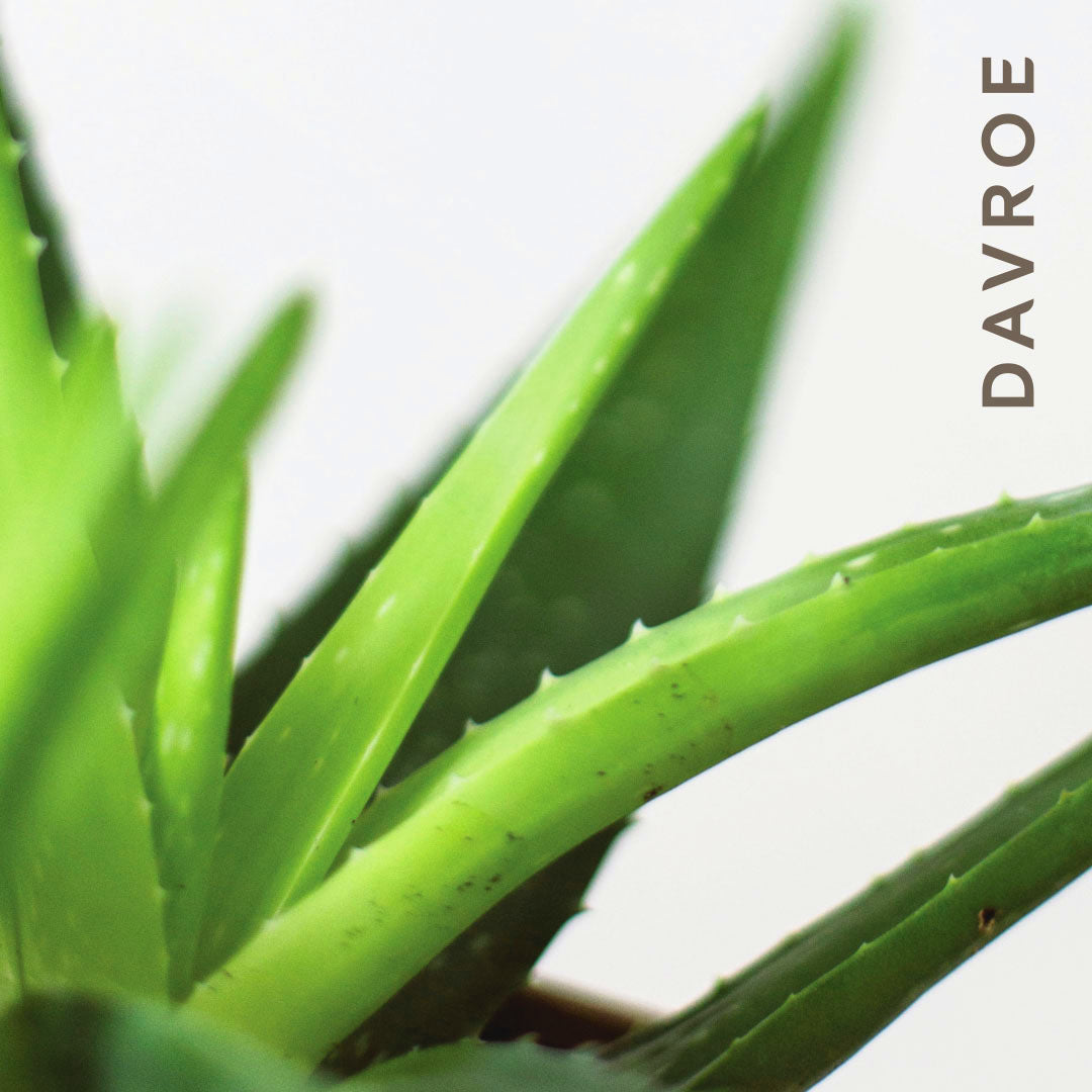 Davroe Scalp Remedy Shampoo 325ml – Beautopia Hair & Beauty