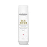 Goldwell Dualsenses Rich Repair Restoring Shampoo 300ml