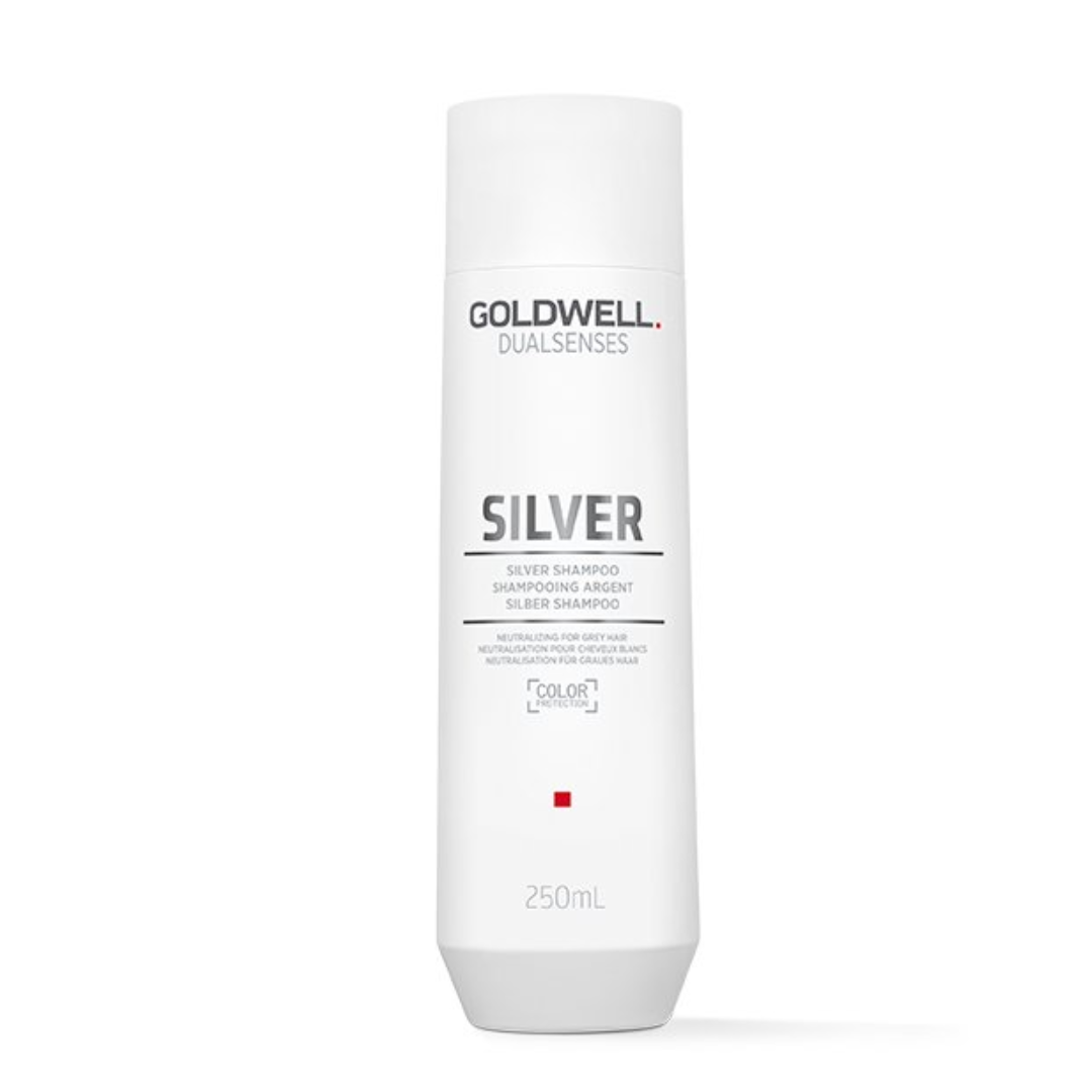 Goldwell Dual Senses Silver Shampoo 300ml