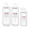 Goldwell Dualsenses Color Brilliance Big Bottle Trio