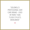 Goldwell Dualsenses Rich Repair Restoring Shampoo 1 Litre