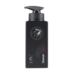 H2B Charcoal Conditioner 380ml