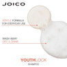 Joico Youthlock Shampoo & Conditioner Duo 1 Litre