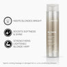 Joico Blonde Life Brightening Shampoo 300ml