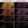 Keracolor Color Clenditioner For Brunettes + Purple  355ml