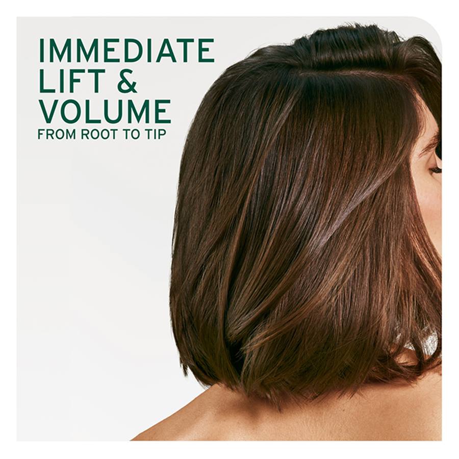Matrix Biolage Volumebloom Full Lift Volumizer Spray 250ml