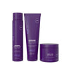 Natural Look Silver Screen Ice Blonde Ice Blonde Shampoo, Conditioner & Toning Mask Bundle