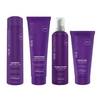 Natural Look Silver Screen Ice Blonde Shampoo, Conditioner, Conditioning Mousse & Smooth Ends Pack