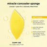 Real Techniques Miracle Concealer Sponge