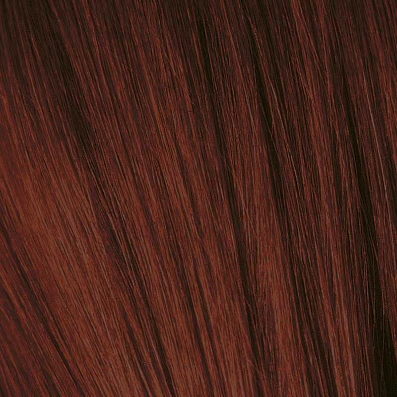 Schwarzkopf Igora Royal Permanent Colour 4-88 Medium Brown Red Extra 60ml