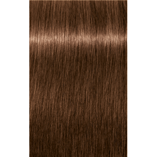 Schwarzkopf Igora Royal Permanent Colour 6-65 Dark Blonde Chocolate Gold  60ml