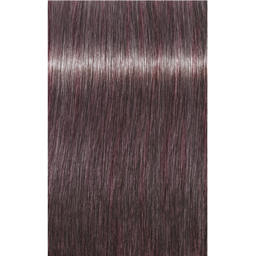Schwarzkopf Igora Royal Permanent Colour 8-19 Light Blonde Cendré Violet 60ml