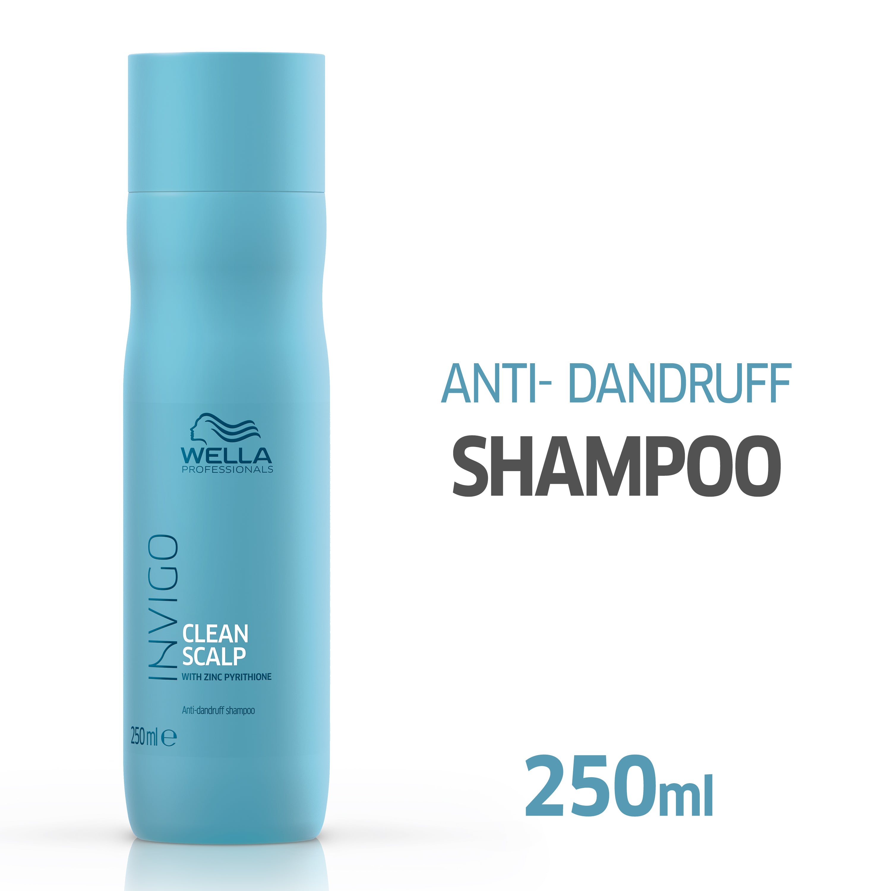 Wella Invigo Clean Scalp Anti Dandruff Shampoo 250ml