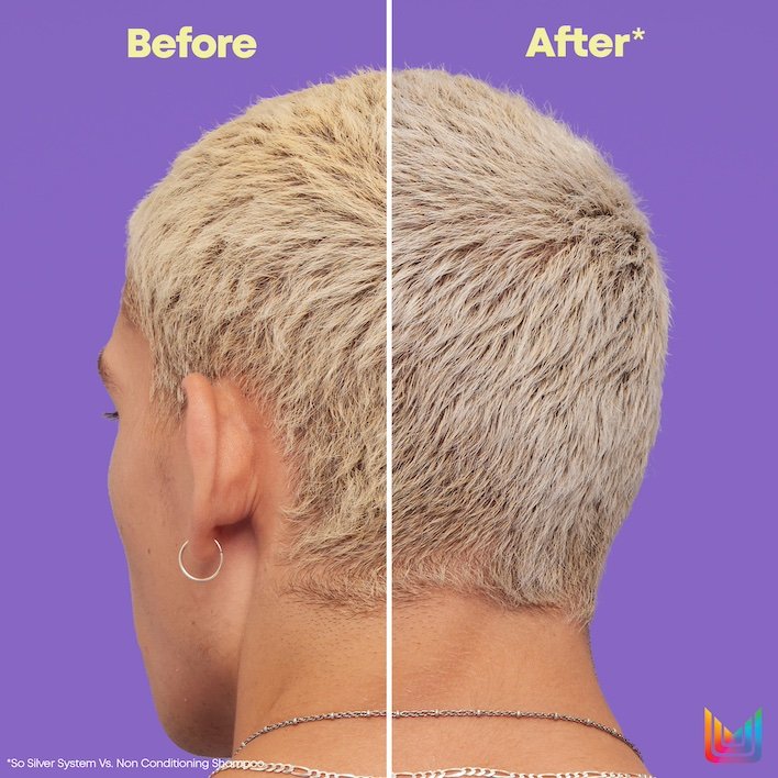 Matrix Total Results So Silver Pigmented Conditioner 1 Litre ...