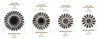 Olivia Garden Eco Ceramic XL 100% Boar Brush 46mm