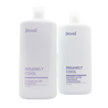 Jeval Insanely Cool Intense Silver Shampoo & Treatment Conditioner 1 litre