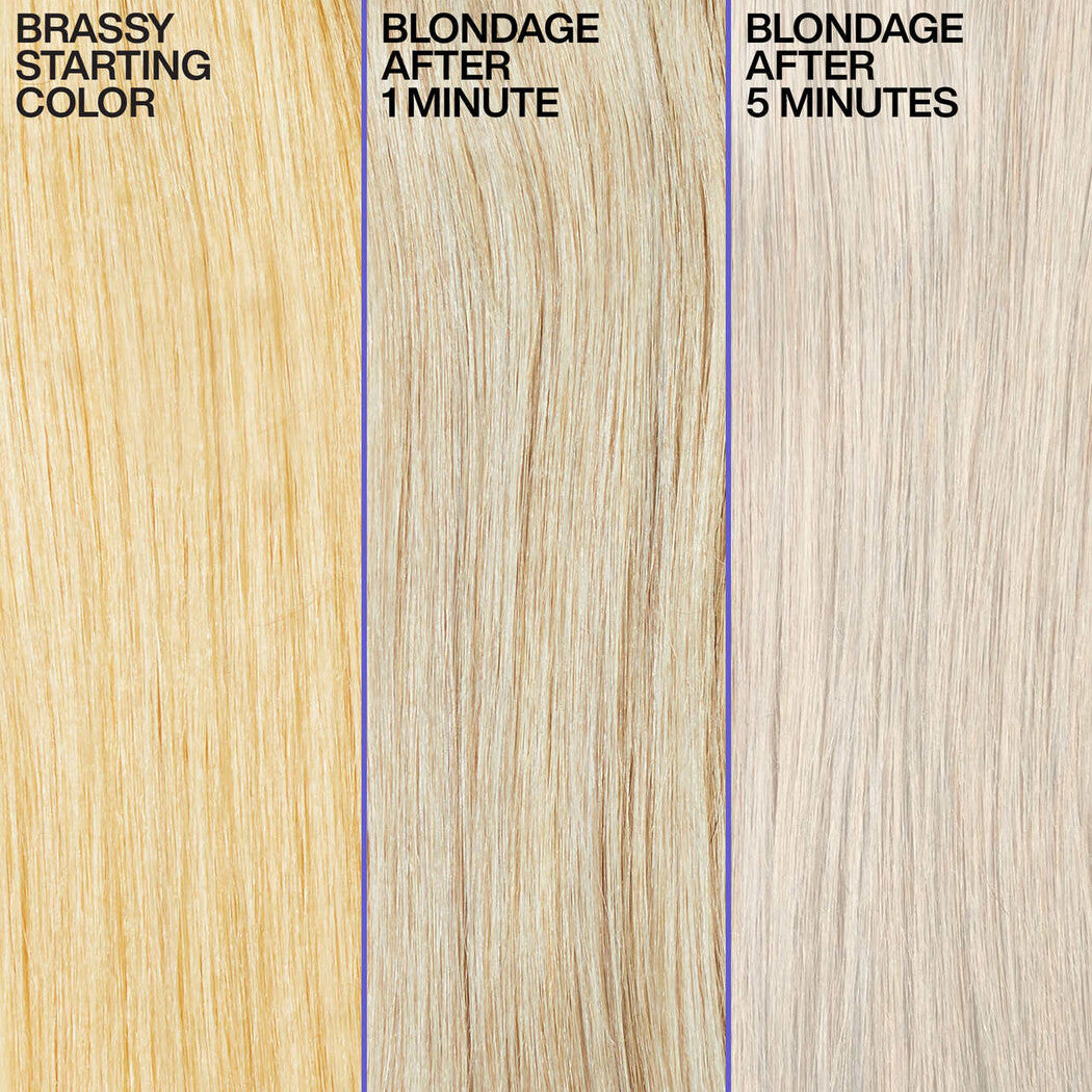 Redken Colour Extend Blondage Purple Shampoo 1L