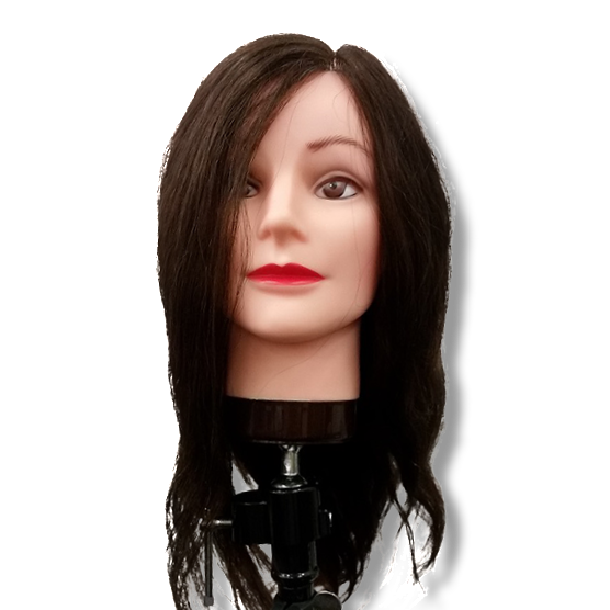 Female mannequin head with hair sales