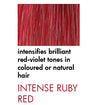 De Lorenzo Novafusion Intense Ruby Red Shampoo 200ml